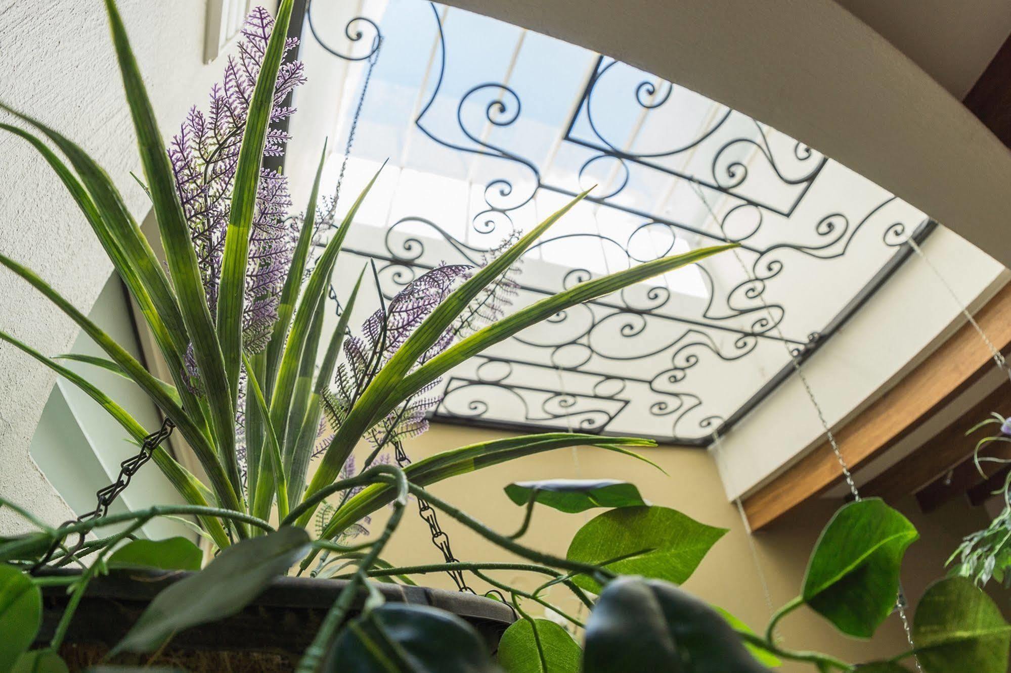 Hotel San Pietro Boutique Tlaquepaque